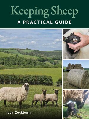 cover image of Keeping Sheep